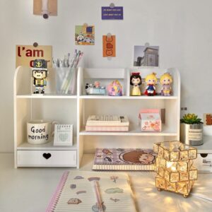 Desktop Shelf Organizer