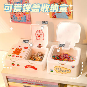 Small Accessory Storage Box